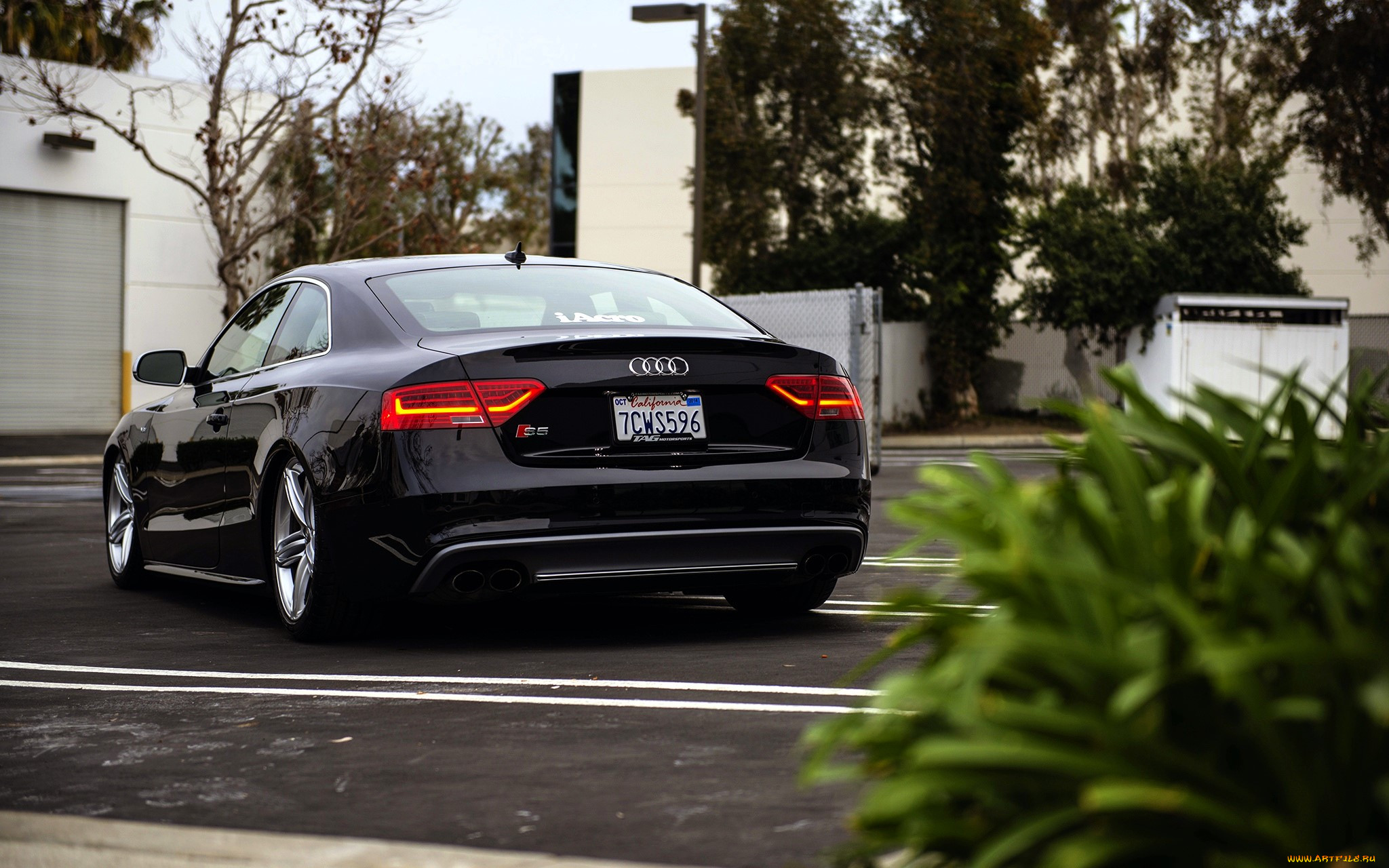 audi s5, , audi, , , 